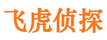 邛崃市婚外情取证